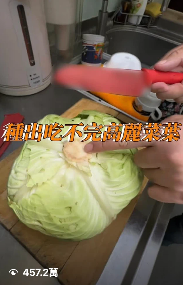 單支短影音 457 萬次觀看後台紀錄